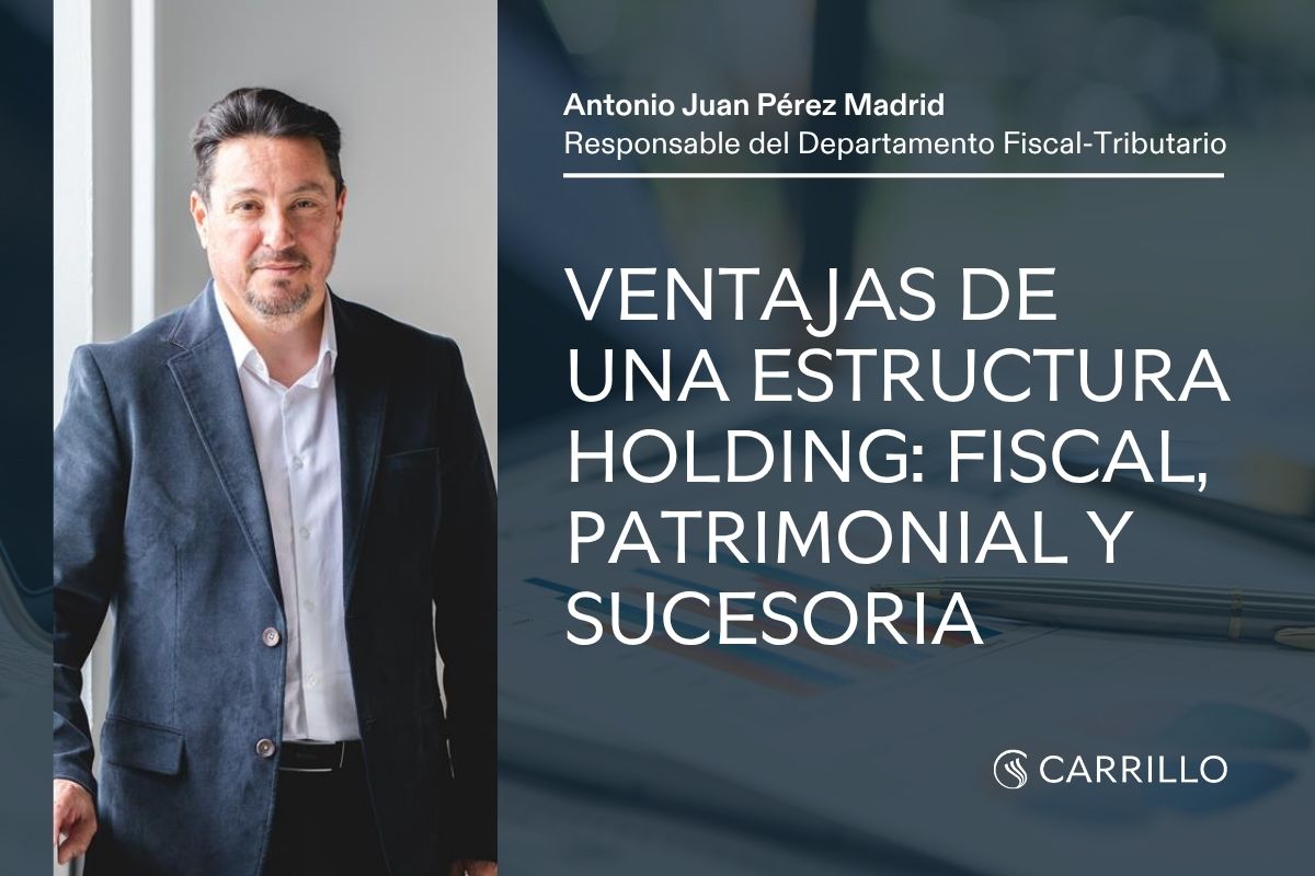 Artículo sobre ventajas de una estructura holding.